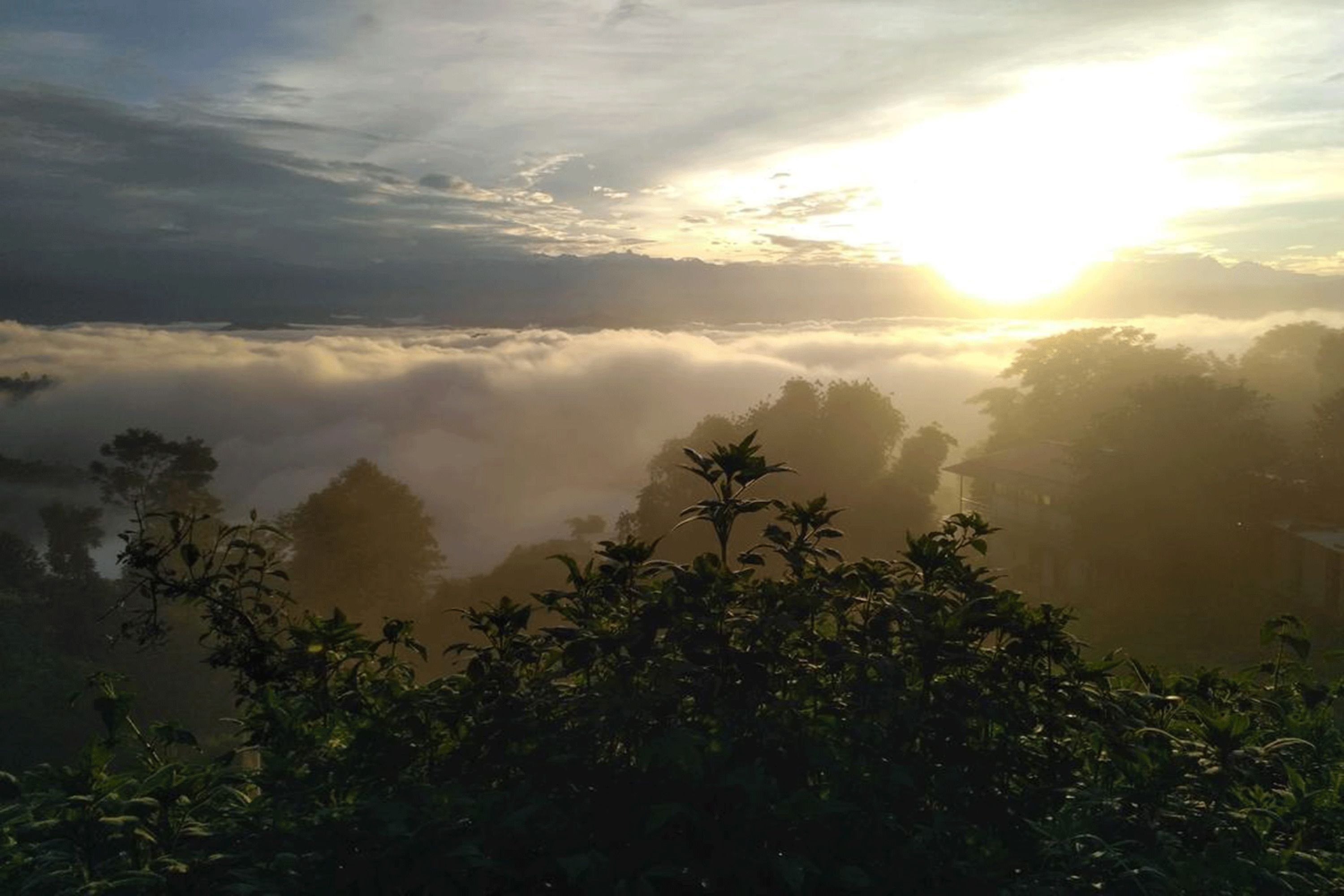 A sunrise over a misty landscape with trees and a building in the background. - Tamang Homestay (Dhulikhel)