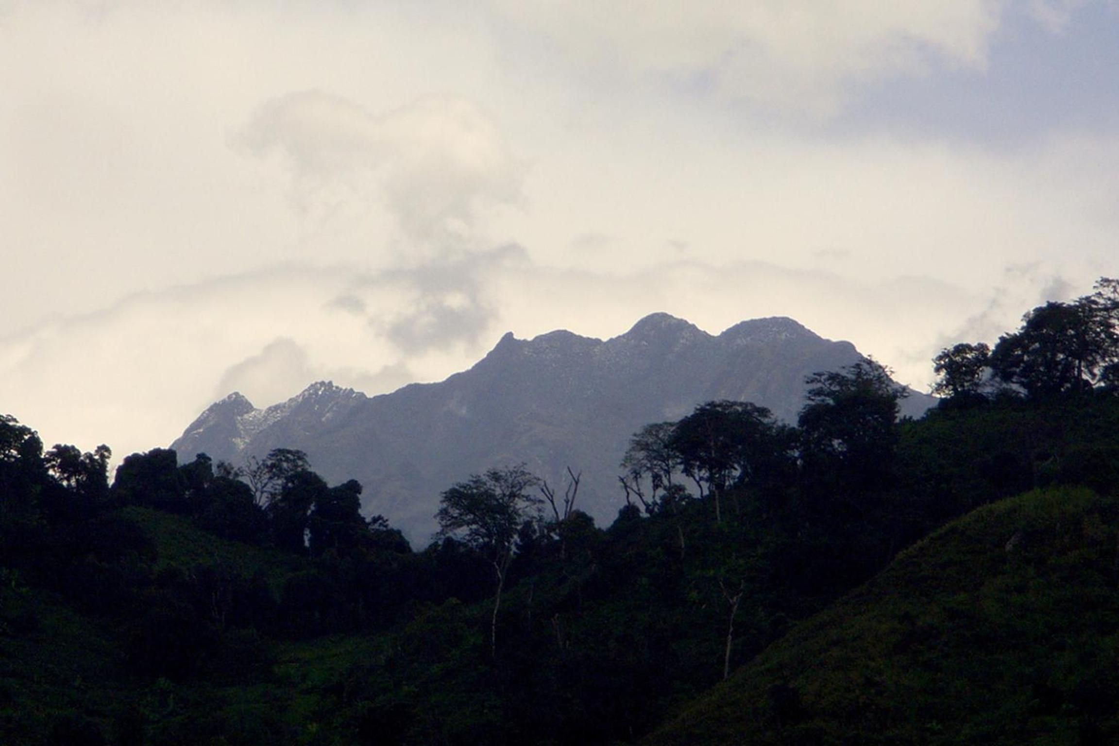 A mountain landscape with trees in the foreground.