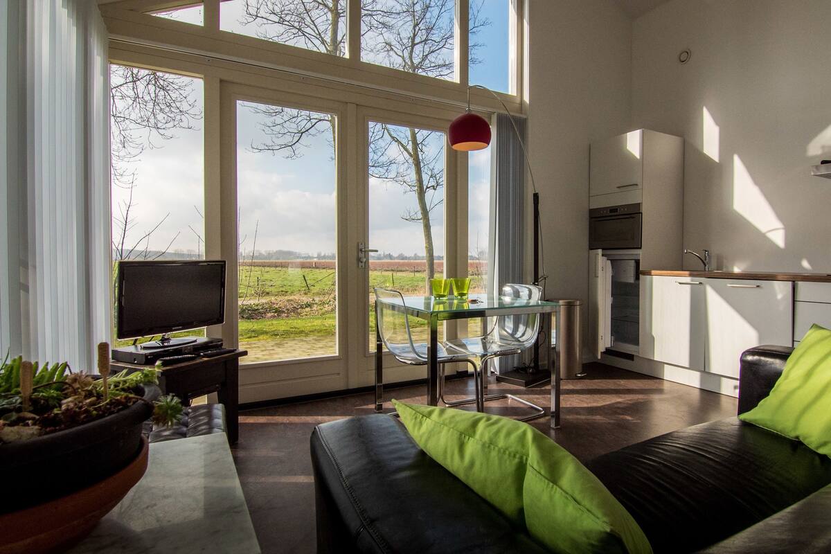 A modern kitchen with a dining area, a TV, and a sofa with green cushions.
