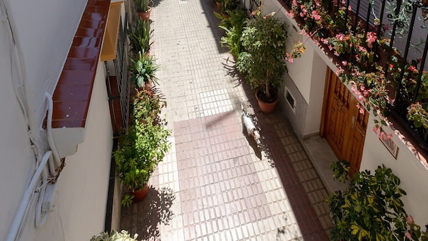 Un carrer urbà estret amb balcons, plantes en testos i una furgoneta groga.