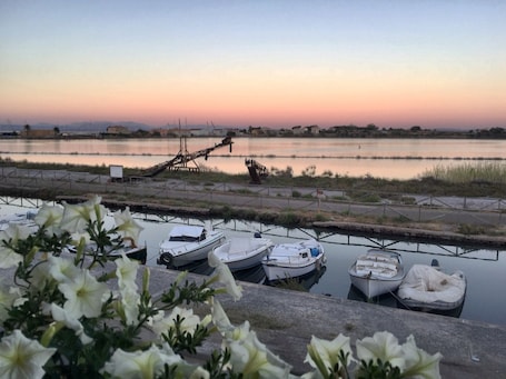 A marina with several boats docked, a waterway, and a distant shoreline with buildings.