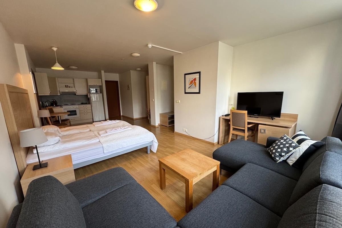 A modern apartment with a living room, a dining area, and a kitchen.