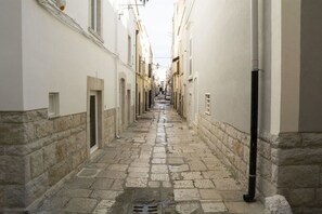 Un estrecho callejón adoquinado entre edificios con paredes blancas y pequeñas ventanas.