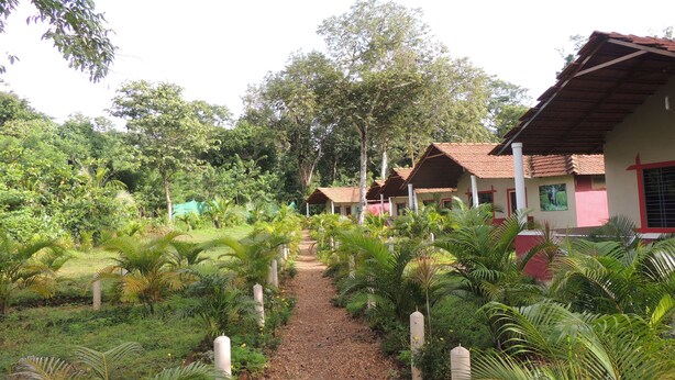 A pathway leading to a row of small, single-story buildings with red roofs and white walls, surrounded by lush greenery and trees. - Jungle Nest Homestay (Joida)