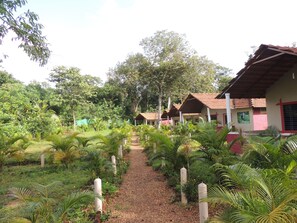 A pathway leading to a row of small, single-story buildings with red roofs and white walls, surrounded by lush greenery and trees. - Jungle Nest Homestay (Joida)