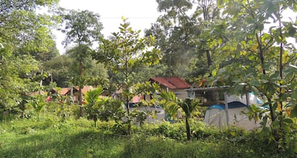 Jungle Nest Homestay