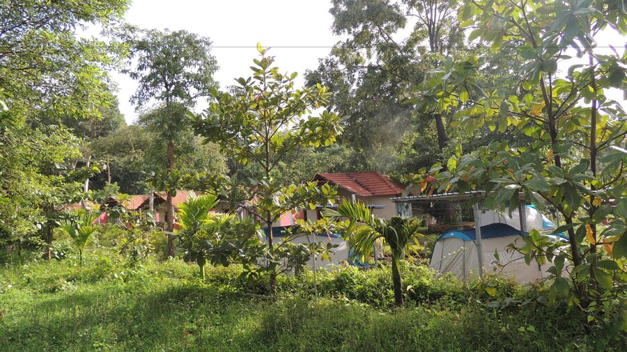 Jungle Nest Homestay