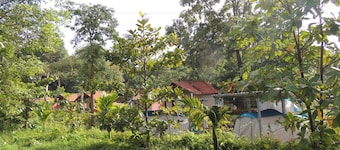 Jungle Nest Homestay