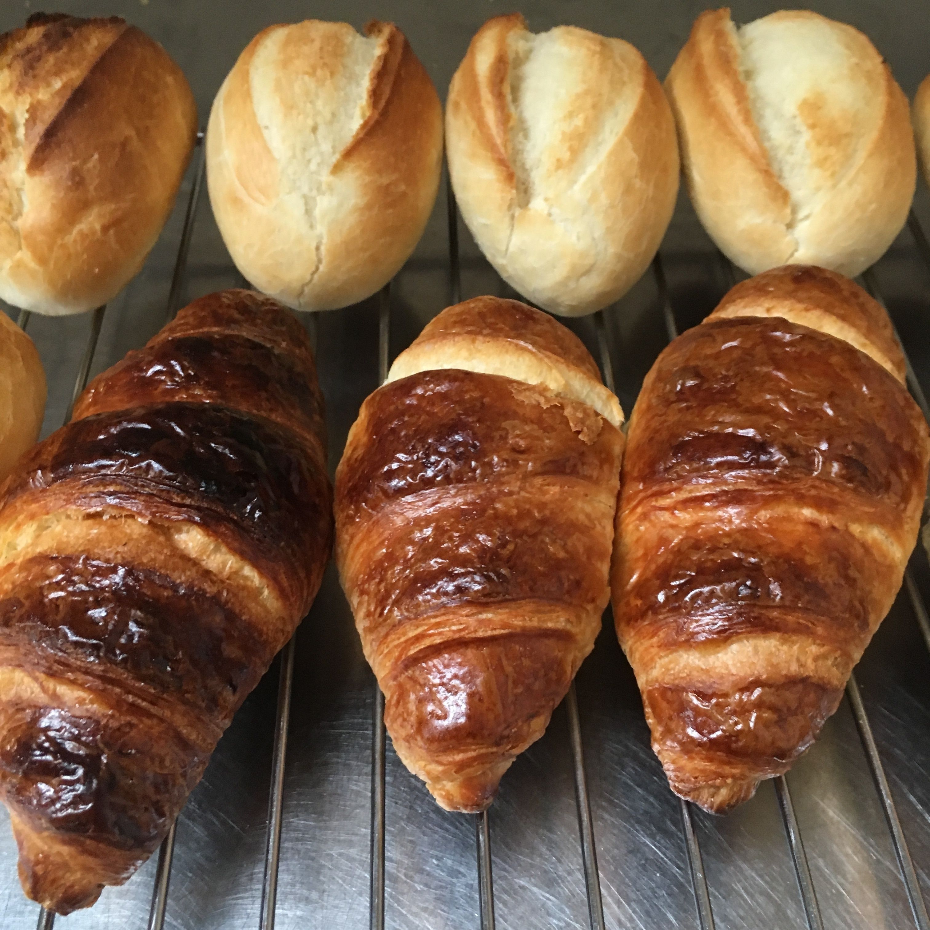 Foto - Square Tree House Hotel