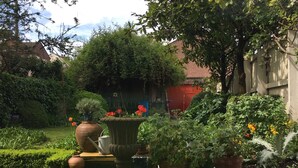Un jardín con escalones que conducen a una zona de estar, rodeado de plantas en macetas y abundante vegetación.