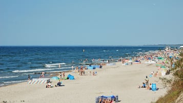 Playa en los alrededores