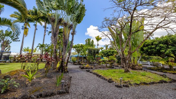 A tropical garden with a gravel path, palm trees, and various plants. - Cozy Tropical Retreat Guest House with AC (Hilo)