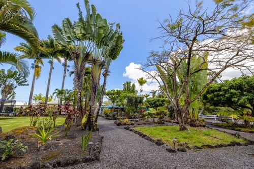 Cozy Tropical Retreat Guest House with AC