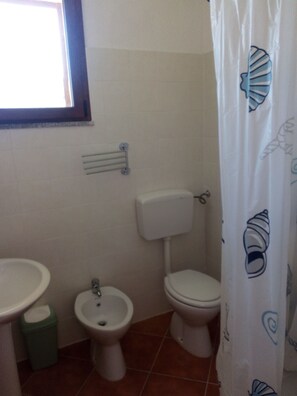 Shower, free toiletries, hair dryer, bidet