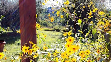 Jardin
