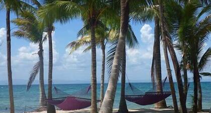 Premier Overwater Bungalow