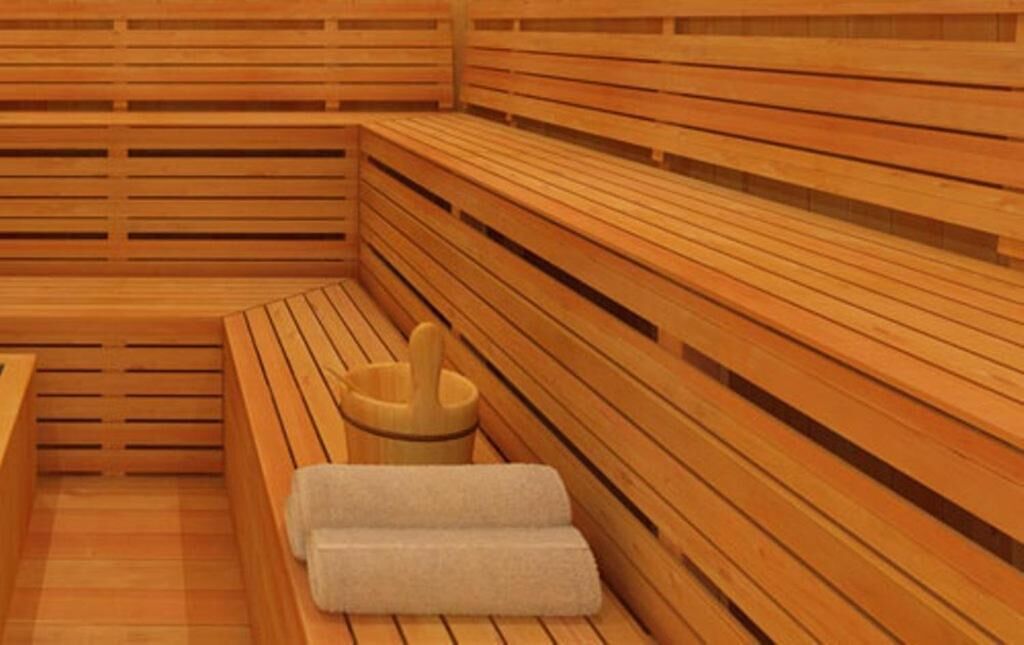 sauna, steam room