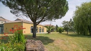 A yellow building with arched windows and a large tree in front.