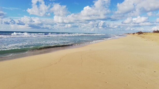 A beach with a clear sky and waves. - Antica Masseria Ficazzana (Salve)
