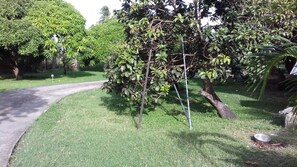Garden - Sue's apt. (Kendal)