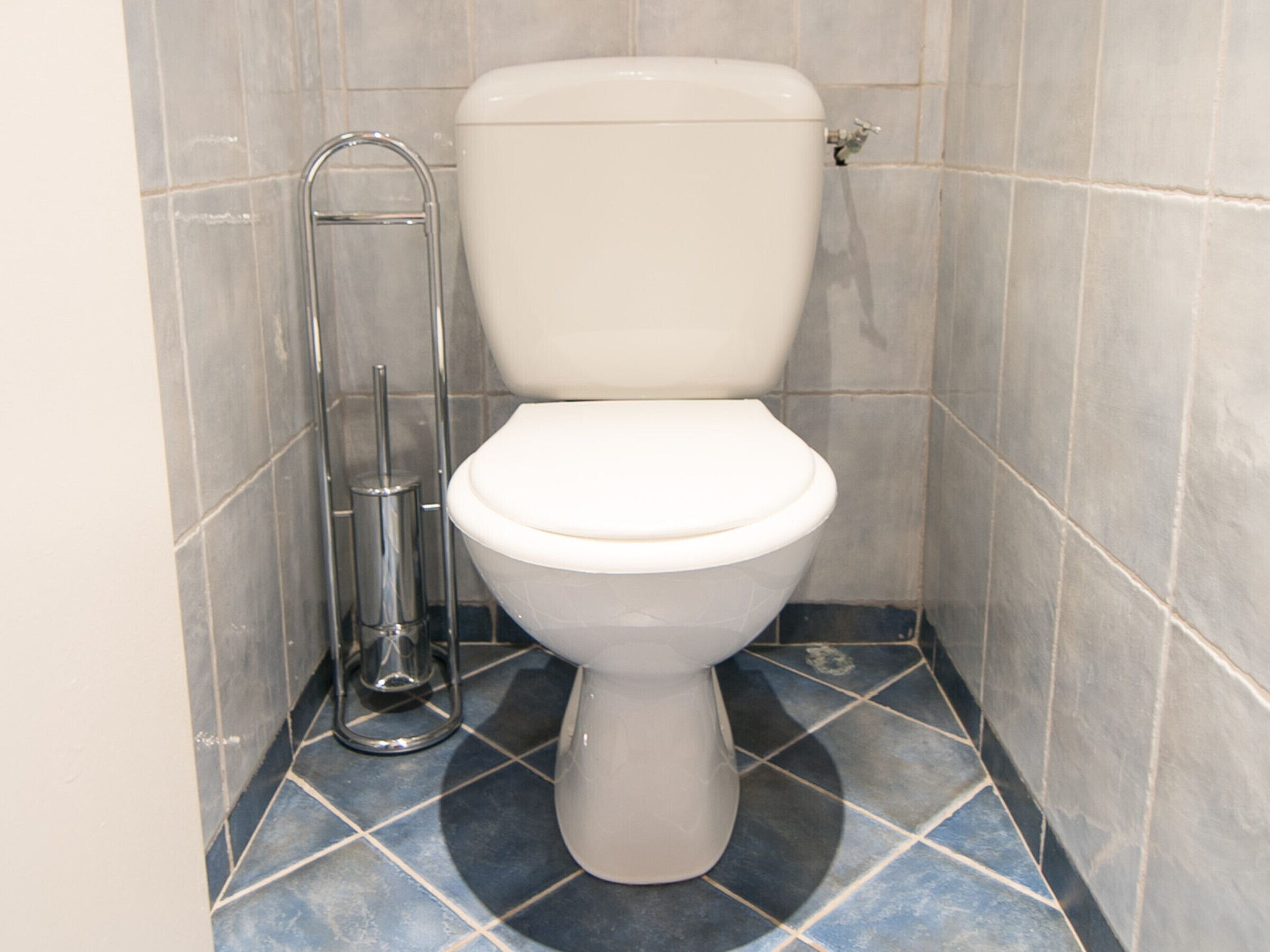 A toilet with a chrome bidet sprayer and a white tank.