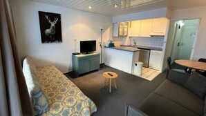 Ein gemütlicher Wohnbereich mit einer Couch, einem kleinen Esstisch, einer Küchenzeile und einem Fernseher.