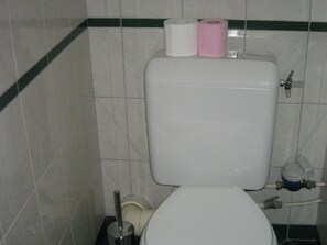 Un baño con inodoro, bidé y dispensador de papel higiénico con dos rollos.