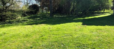 Área da propriedade