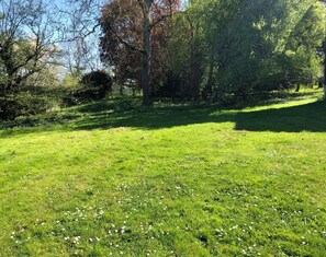 Property grounds - Charming rental with 1 ha park and woods (Beaulieu-sur-Loire)