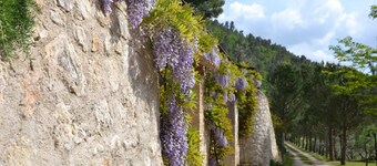 Agriturismo Istrice Innamorato