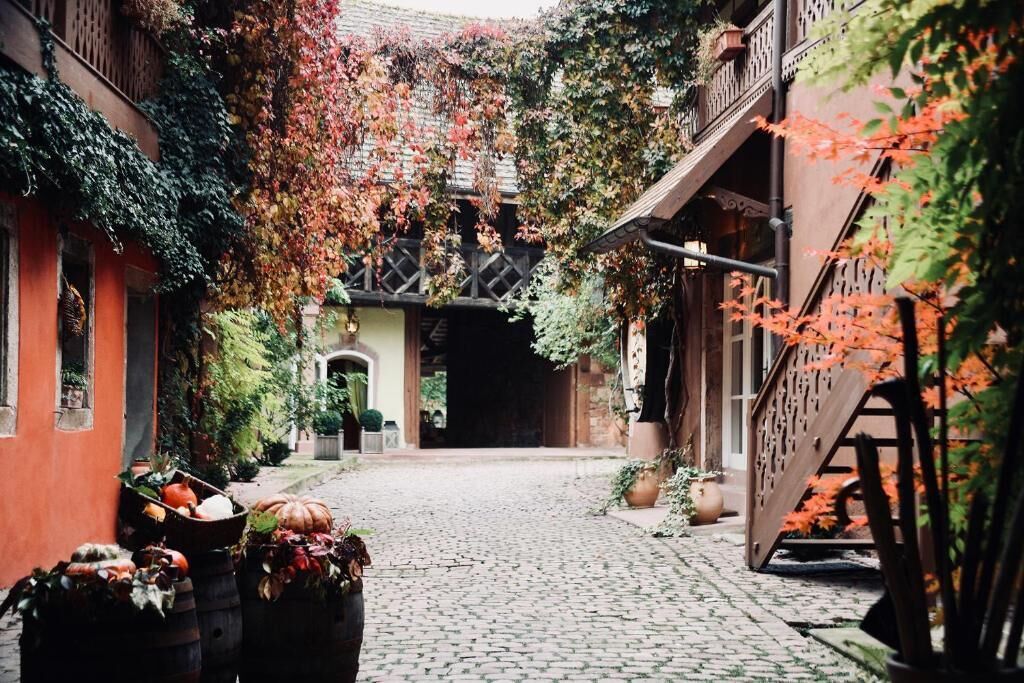 A cobblestone courtyard with a wooden staircase on the right, surrounded by buildings with ivy-covered walls.