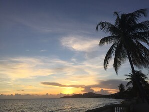 Escena de playa con palmeras y un atardecer sobre el océano.