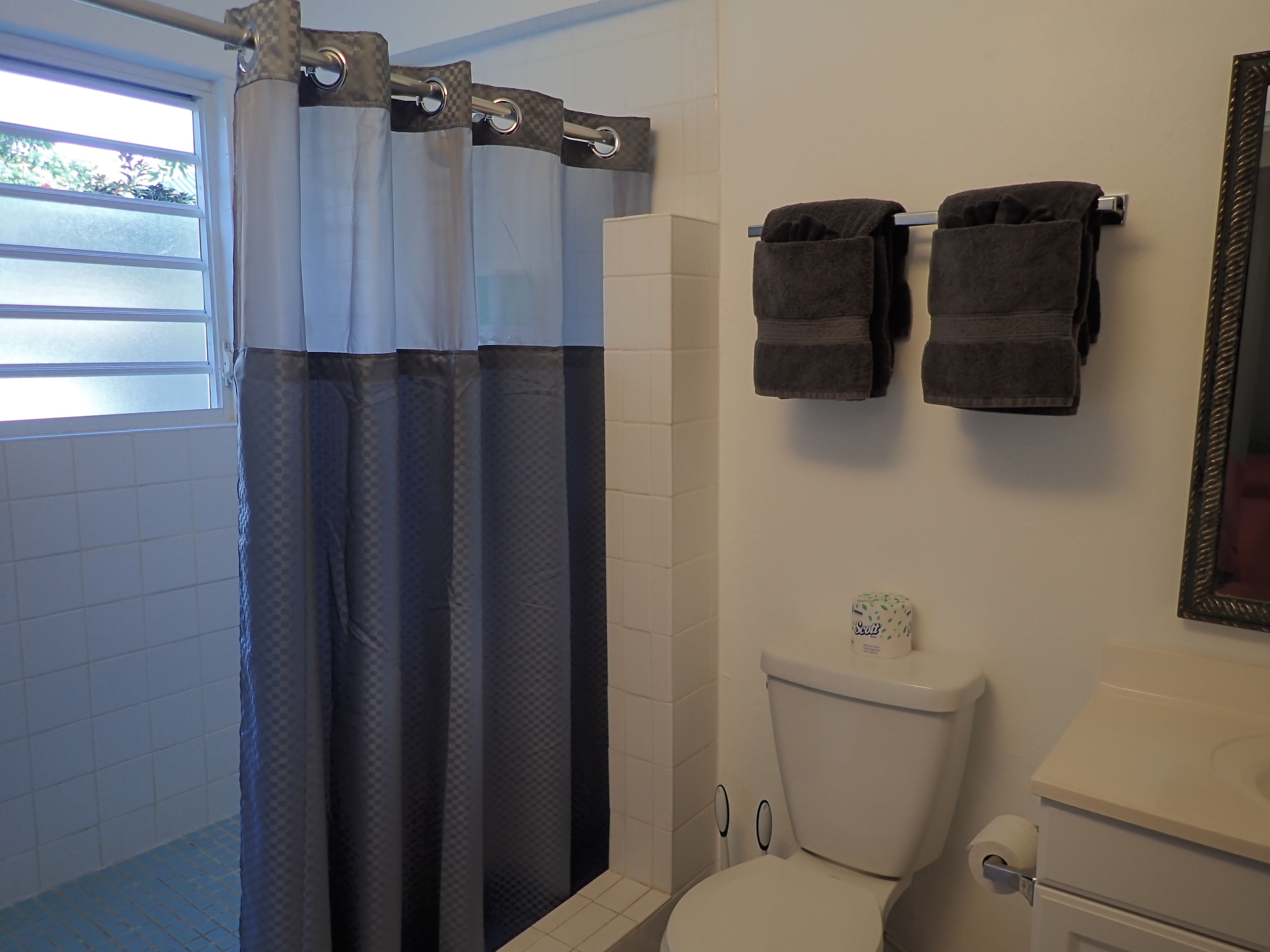 Une salle de bain avec un rideau de douche, des toilettes et deux serviettes accrochées au mur.