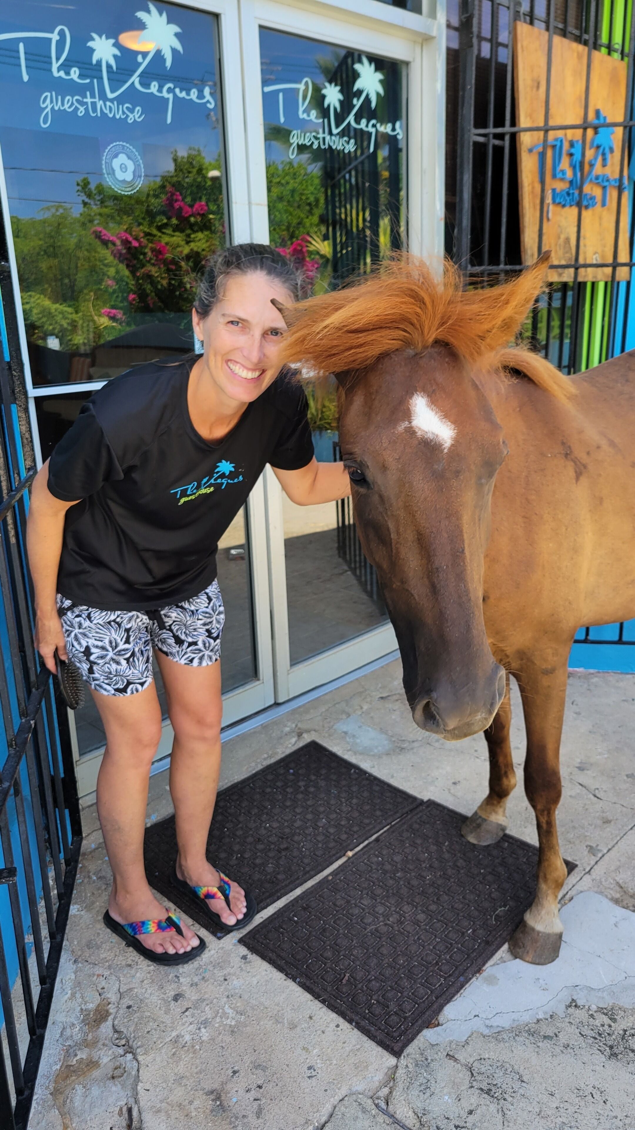 Une personne se tient à côté d’un cheval devant un bâtiment sur lequel est apposée une enseigne indiquant : « The Leagues Guesthouse ».
