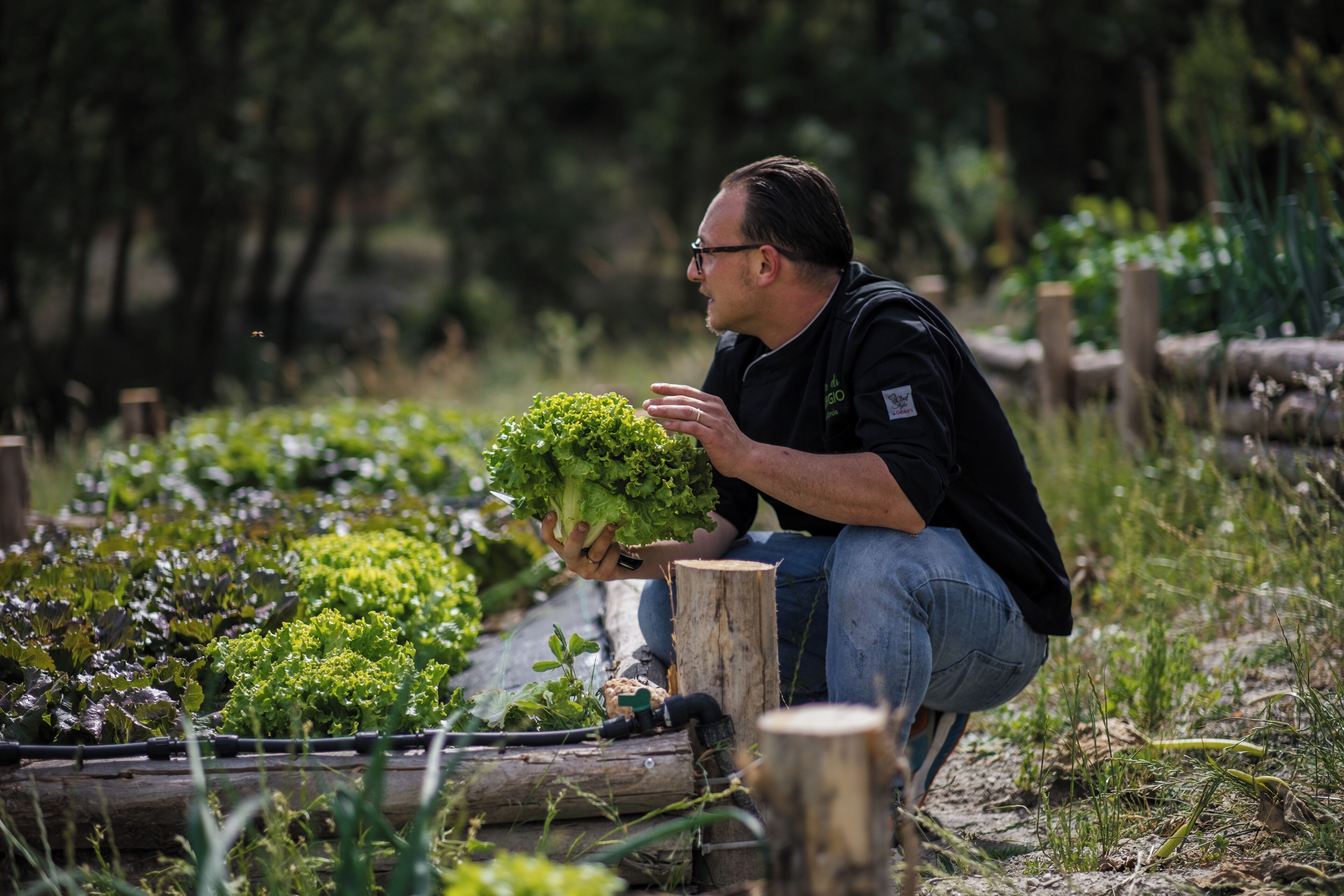 A person crouching in a garden with various plants, holding a leafy vegetable.
