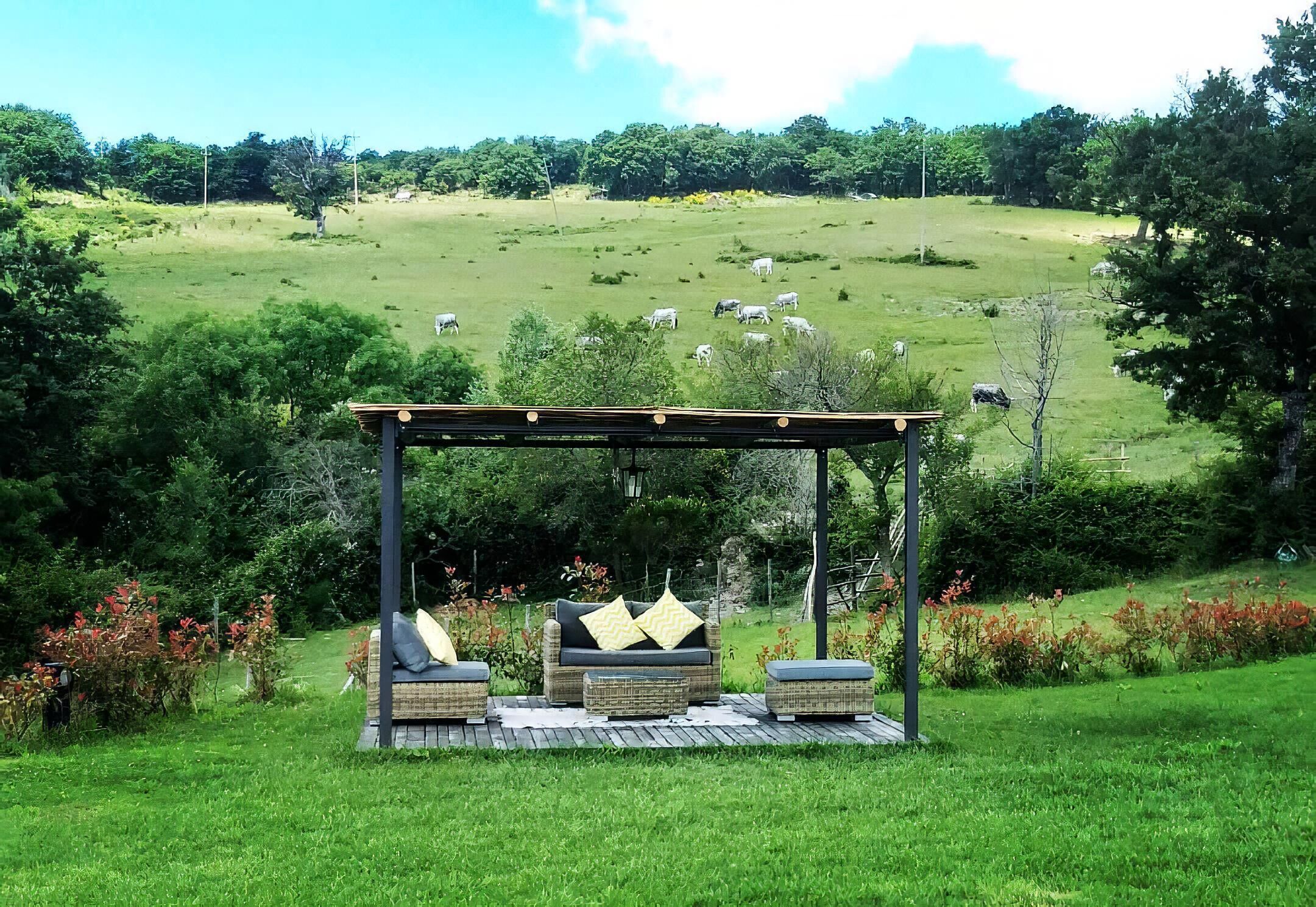 Un jardín con un porche de madera y zona de estar, rodeado de abundante vegetación y una vista distante de un campo cubierto de ovejas.