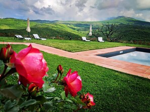 Exterior - Terre di GIORGIO - Agriturismo Villa la Palazzetta (Castiglione d'Orcia)