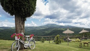 Una bicicleta con una cesta de flores apoyada en un árbol, una valla de madera y una vista de colinas verdes y montañas al fondo.