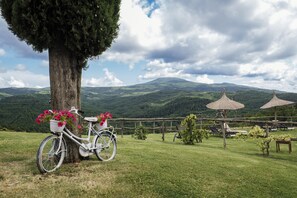 Exterior - Terre di GIORGIO - Agriturismo Villa la Palazzetta (Castiglione d'Orcia)