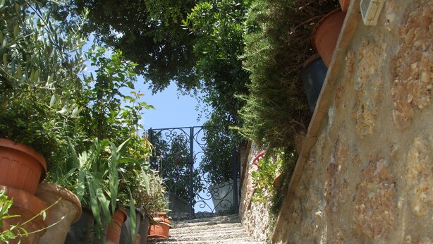 A stone staircase surrounded by potted plants and a metal gate. - Camere Ramaccia (Assisi)