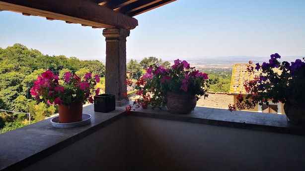 A balcony with potted flowers, a stone column, and a view of the countryside. - B&B Locanda Cistercense (Viterbo)