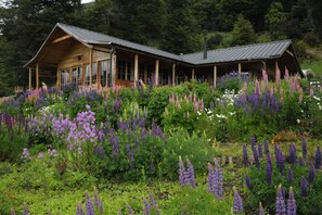 Eine Holzhütte mit geneigtem Dach, umgeben von einem üppigen Garten mit violetten Lupinenblüten.