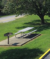 Una mesa de picnic y un cubo de basura en un área verde al lado de una carretera.
