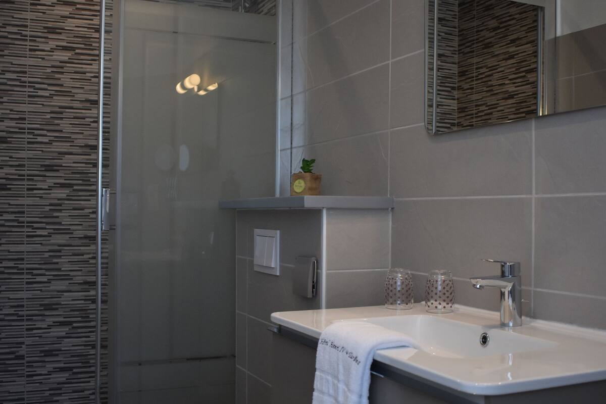 double room | bathroom shower