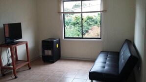 Una habitación con televisión sobre un mueble de madera, un calefactor negro, un sofá negro y una ventana con vistas a zonas verdes.