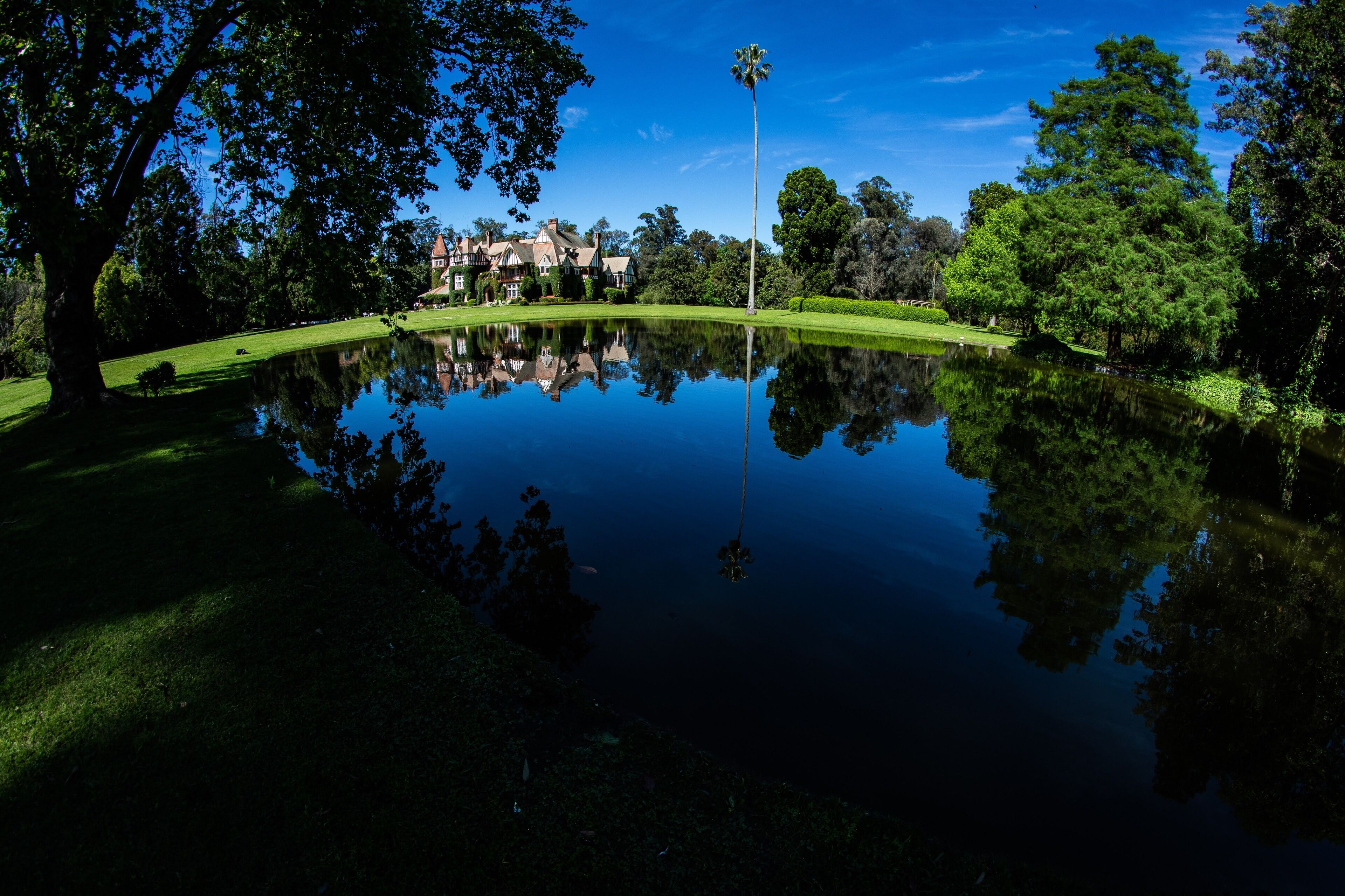 A serene lake reflecting a large tree and a building with a classic architectural style.