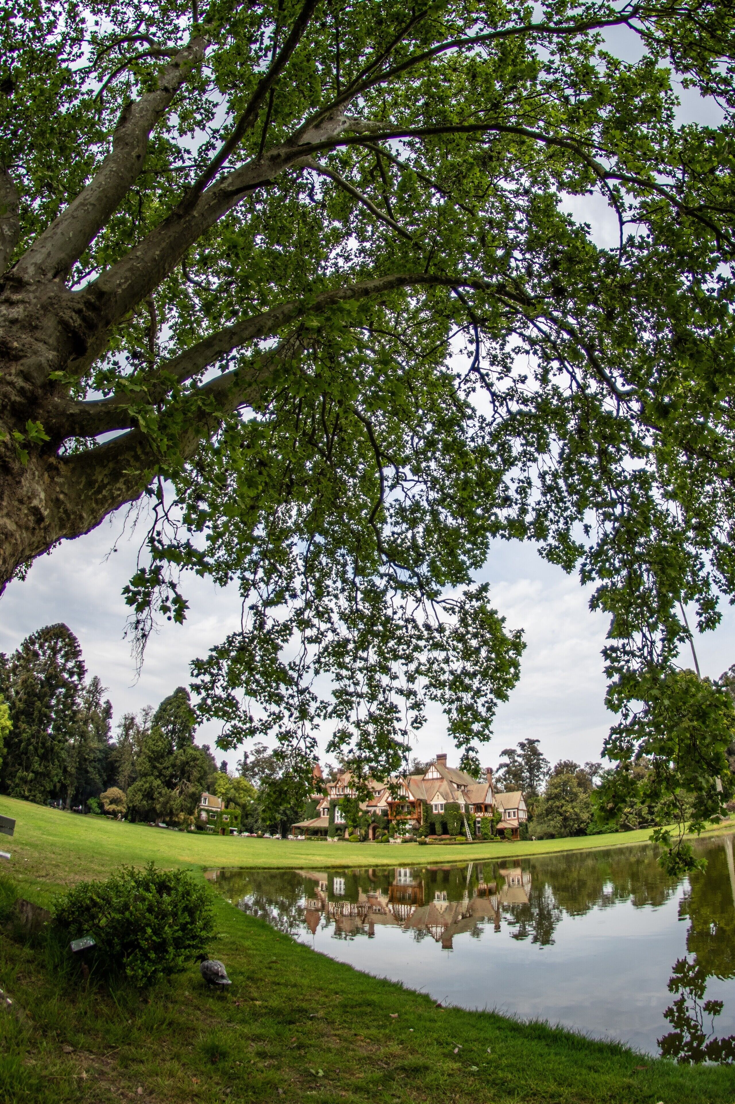 A serene landscape with a pond reflecting a house and trees.