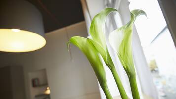 Basic-Studio, 1 großes Einzelbett | Allergikerbettwaren, individuell dekoriert, individuell eingerichtet