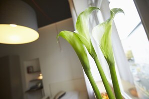 Studio cơ bản, 1 giường đơn lớn | Bộ đồ giường kháng dị ứng, trang trí khác biệt