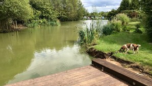 Un muelle de madera que se adentra en un río tranquilo, rodeado de abundante vegetación y una orilla cubierta de hierba.